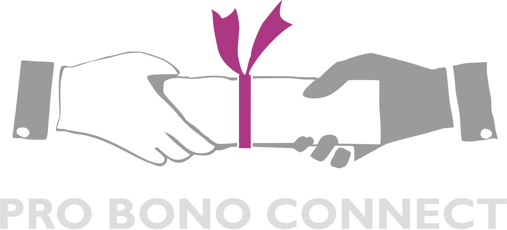 Pro Bono Connect